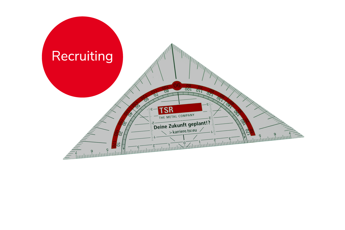 Geodreieck (50 Stk.)